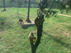 -石家庄市动物园