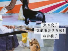 -南昌海洋公园