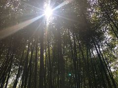 -竹泉村旅游度假区