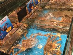 -海景壹号大酒店(惠钱路店)