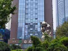 -半岛宠物医院24小时(科华中路店)