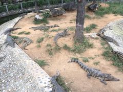 -石家庄市动物园