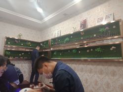 -圣婕美甲美睫皮肤管理