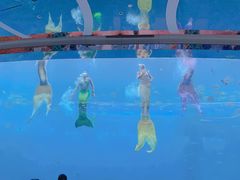 -瑞德姆美人鱼海底演艺主题餐厅(亚龙湾店)
