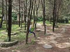 -北京鹫峰国家森林公园