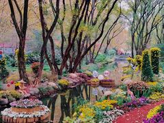 -上海共青森林公园