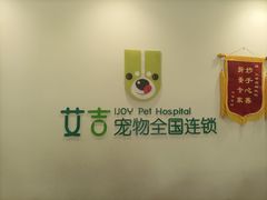 -艾吉宠物医院·疑难杂症转诊中心·猫友好(碧江路院)