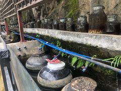 -茗荔园农庄(大涌店)
