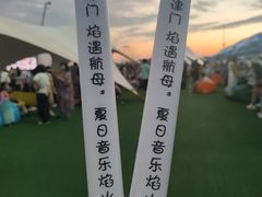 -泰达航母主题公园