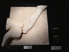 -中国农业博物馆