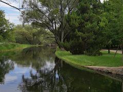 -上海共青森林公园