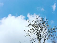 -桤木河湿地公园