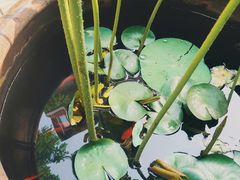 -默迹咖啡馆