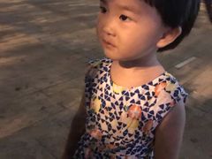 -大象音乐·吉他·架子鼓·声乐(双井店)