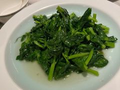 鸡油豆苗-蘭心·臻品(瑞虹太阳宫店)