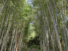 -敬亭山风景名胜区