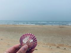 -威海国际海水浴场旅游区