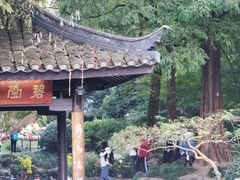 -杭州植物园