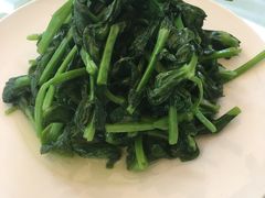 清炒豆苗-新吉士·上海菜(浦东LCM置汇旭辉店)