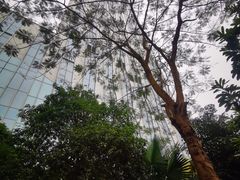 -美食汇·海鲜自助餐·家庭聚会·商务宴请(青秀万达文华店)