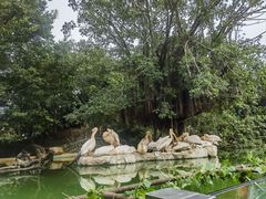 -珠海长隆海洋王国