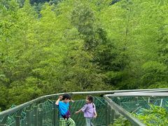 -陶祖圣境风景区