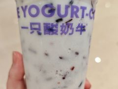 -一只酸奶牛(时代天街A馆店)