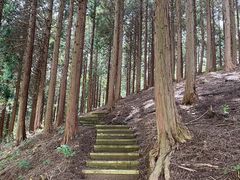 -四明山国家森林公园