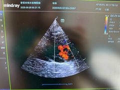-爱侣·安琦尔宠物医院·中兽医针灸·心内科·狂犬免疫点(宝山区院)