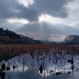 太热乎了招牌手工粉更Q 附近是西湖和河坊街