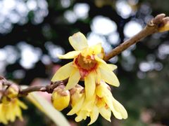 -神旺大酒店-停车场