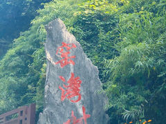 -重庆睡佛山森林公园