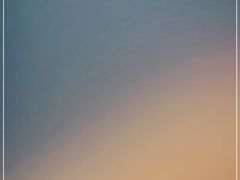 -王虎子大饼(甸柳新村五区店)