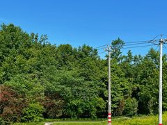 -桤木河湿地公园