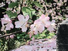-荆川公园