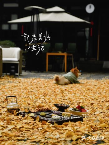 四合院里下午茶的美好时光