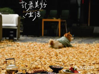 四合院里下午茶的美好时光