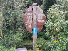 -梧桐山风景名胜区