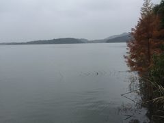 -山湖温泉