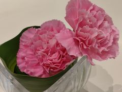 -深圳湾木棉花酒店