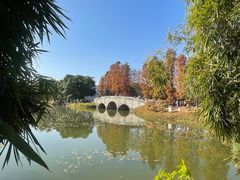 -华南国家植物园-售票处