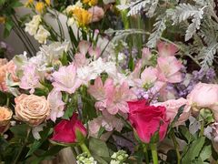 -花生FM_FLOWERS