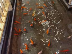 -汉唐水世界温泉洗浴水乐园