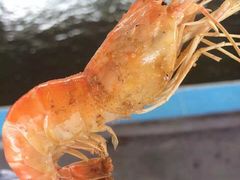 大笨象钓虾场-小象钓虾·营地烧烤(洛溪店)