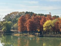 -梁鸿国家湿地公园