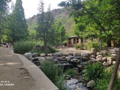 -白水寺森林公园