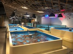 水产区-日进一片海.生腌海鲜火锅.宵夜烧烤(三里屯总店)