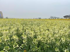 -中国天府农业博览园