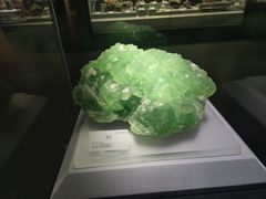 -湖南省地质博物馆