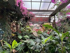 -呀路古热带植物园